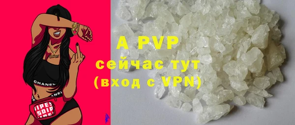 шишки Вяземский