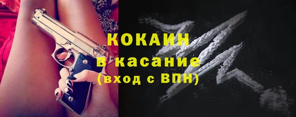 твердый Алексеевка