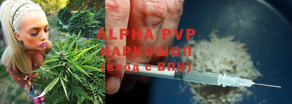 спиды Алзамай